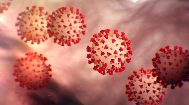 فيروس كورونا.. أربع حالات جديدة تنضاف إلى قائمة الإصابات المؤكدة