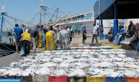 مهنيو قطاعي الفلاحة والصيد البحري يضمنون حسن سير الأنشطة الموجهة للتصدير