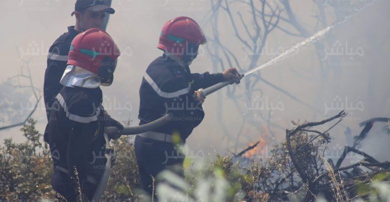 حريق جديد بغابة الفرنساوي بطنجة والوقاية المدنية تتدخل في الوقت المناسب