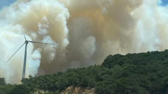 اندلاع حريق مهول بالغابة قرب جبل قرية عين حمراء بإقليم الفحص أنجرة