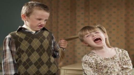 دراسة: 60% من سكان ألمانيا يعتقدون بضعف تماسكهم المجتمعي