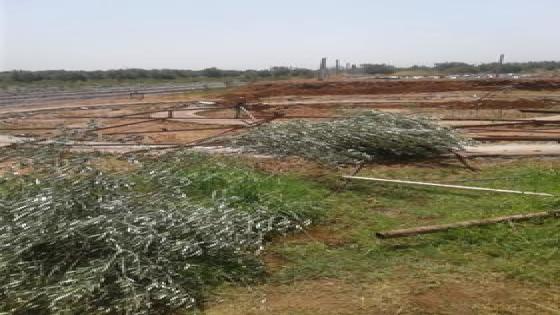 خسائر أشجار الزيتون و حقول الخضر بإقليم قلعة السراغنة بسبب الأمطار الرعدية