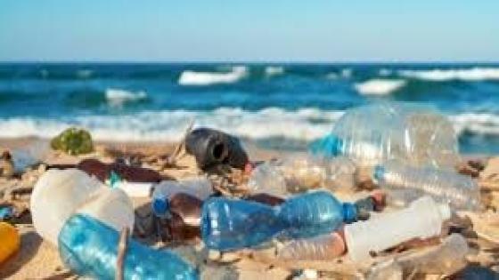 التلوث البلاستيكي في الأودية والشواطئ: ضرورة إيجاد حلول مبتكرة للحفاظ على الثروة السمكية والمياه والشواطئ