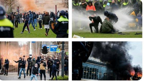 محكمة هولندية تأمر برفع الحجر فوراً