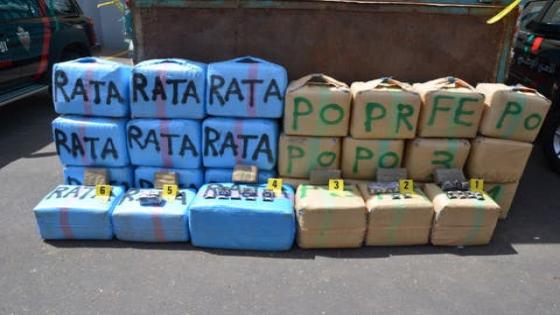 الشرطة بالراشيدية تعتقل أربعينيا وتحجز نصف طن من الحشيش