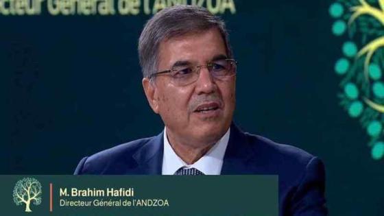 حافيدي: قطاع الأركان يوفر أكثر من 25 ألف و500 منصب شغل ومعدل مبيعات سنوية تبلغ حوالي 1.2 مليار درهم