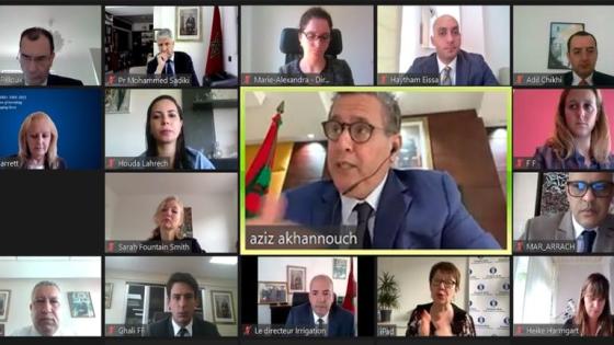 وزير الفلاحة يتباحث مع رئيسة البنك الأوروبي لإعادة الإعمار والتنمية حول دعم إستراتيجية الجيل الأخضر 2020-2030