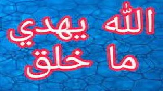 نص غنائي ( مونولوج ) * الله بهدي ماخلق * للشاعرحفيظ الامراني