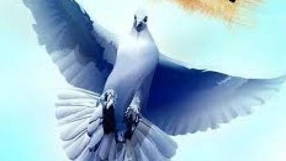 نص زجلي * تسلم عيونك يازرقاءاليمامة * للشاعر حفيظ الامراني