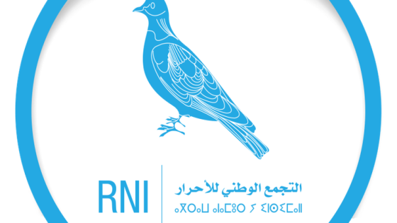 نسبة 21 في المائة من مرشحي الأحرار لانتخابات مجلس النواب في اللوائح المحلیة من الشباب