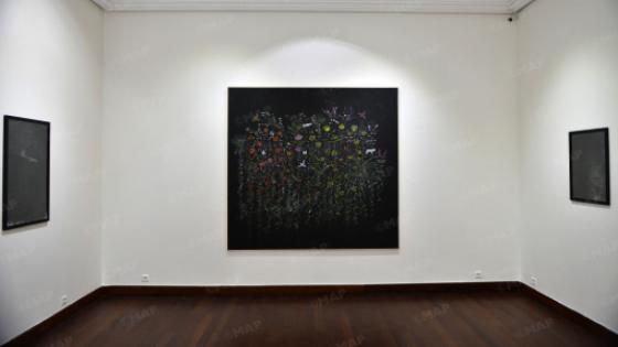 الدار البيضاء.. افتتاح معرض “أوراق تتفتح في غابة” للفنان التشكيلي إلياس السلفاتي