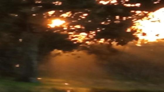 “غدا أمر ” للكاتب والشاعر كمل محمد