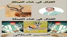 “الغزال في غناء العيطة”لشيخ العيطة الحسين السطاتي