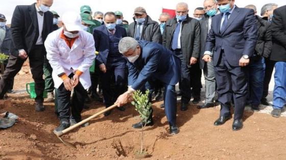 صديقي يدشن عدة مشاريع للتنمية الفلاحية والغابوية في جهة الشرق