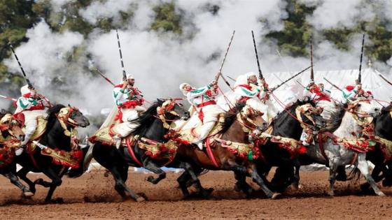 فارس بمهرجان التبوريدة باسفي يتعرض لإصابة بليغة