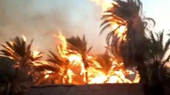 حريق مهول بواحة معروفة باقليم طاطا ويخلف عدة خسائر