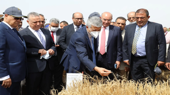 صديقي يقوم بزيارة عدد من مشاريع التنمية الفلاحية باقليم برشيد