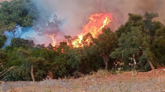 اندلاع حريق مهول بالغابة المحيطة بمركز اكاون باقليم الحسيمة
