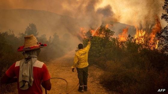 سلطات طنجة تدعو إلى تأجيل المهرجانات بسبب الحرائق