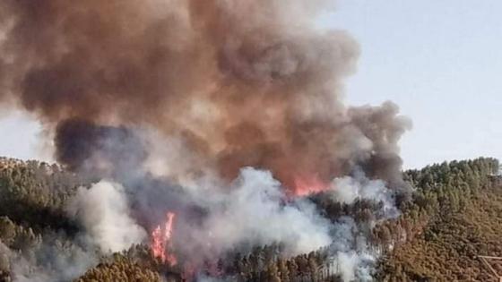 وفاة امرأتين بسبب حريق غابوي باقليم العرائش