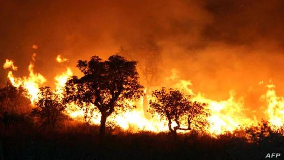 A fire burns late 01 September 2007 night in Tzarift, near Tlemcen, north-west of Algeria. Cooler temperatures in northern Algeria helped firefighters put out most of the blazes that have killed at least eight people and ravaged huge swathes of forest over the past 48 hours. AFP PHOTO STR (Photo by STR / AFP)