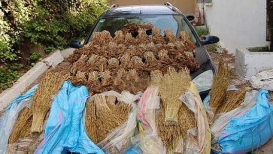 عناصر الدرك الملكي برأس العين بإقليم اليوسفية توقف سيارة محملة بالمخدرات