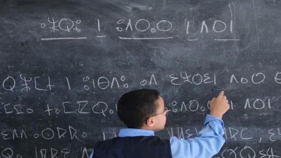 التوسيع التدريجي لتدريس اللغة الأمازيغية انطلاقا من 2024/2023 بالتعليم الابتدائي