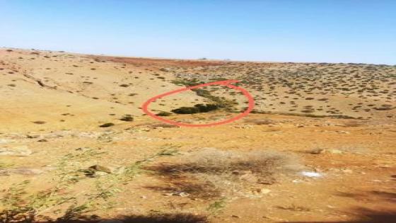 عاجل: طفل ينجو من الموت بعد تعرضه للدغة أفعى بدوار الزنازنة بإقليم سطات