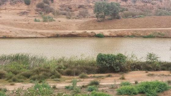 نهر أم الربيع يتعرض لمجزرة بيئية..وسكان الربابزة بجماعة بئر ببوش بالجديدة يراسلون مدير الحوض المائي من أجل التدخل