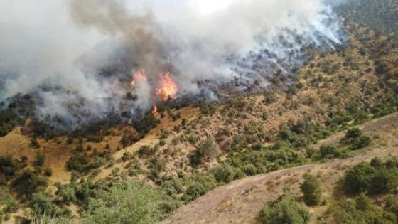 حريق مهول بإقليم تارودانت يخلق الرعب وسط الساكنة