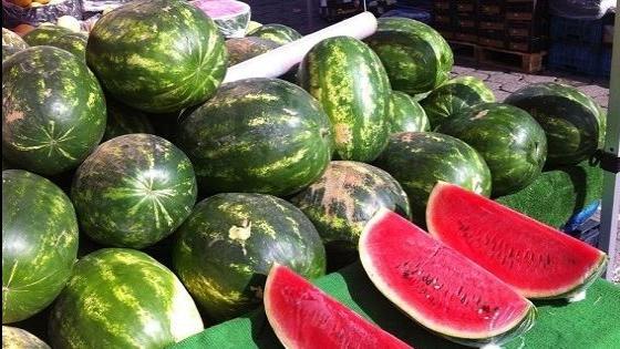 سلطات العرائش تقوم بإتلاف كمية كبيرة من الدلاح