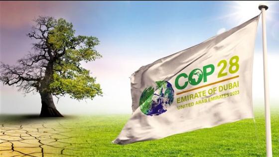 الإمارات تدعو للتخلّص من الوقود الأحفوري في مؤتمر الأطراف وعلى الدول العربية دعمها