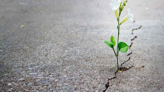 “حكاية أمل ….” للشاعر عبد العزيز حنان