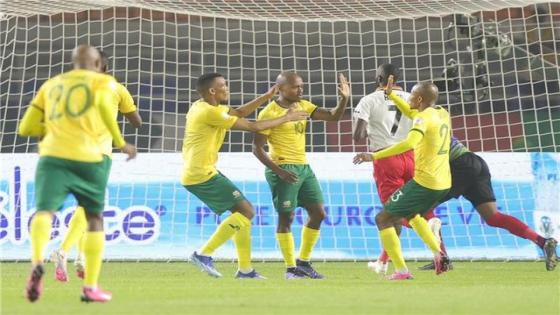 كأس أمم إفريقيا: منتخب جنوب إفريقيا يفوز على جاره الناميبي و يسجل أكبر حصة في النهائيات