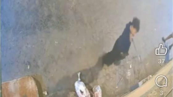 شرطة طنجة توقف شخصا ظهر في فيديو وهو يهدد بسلاح أبيض ويخرب ممتلكات خاصة