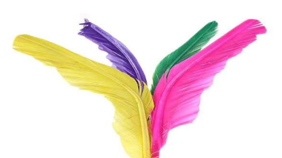 *** بوهاليات هجرية *** للشاعرسعيد هجري موسى