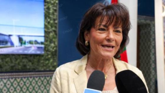 رئيسة لجنة الشؤون الاقتصادية بمجلس الشيوخ الفرنسي تشيد بالدينامية اللافتة للمغرب في مجال الطاقات المتجددة
