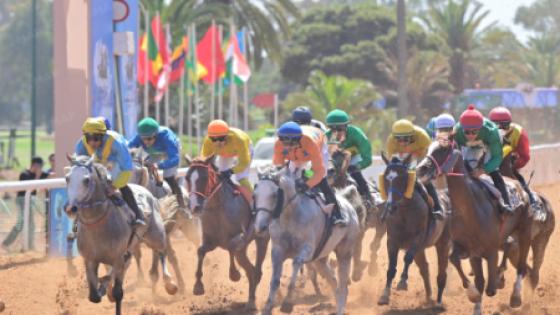 الدار البيضاء: تتويج الفرس “كازا دي شامبو” بلقب النسخة الرابعة للجائزة الكبرى لإفريقيا 2025 لسباقات الخيول