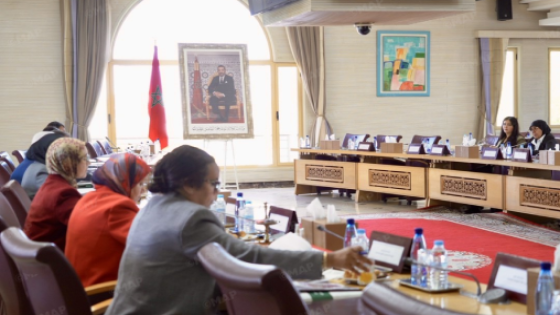 اللجنة المركزية لصندوق الدعم لتشجيع تمثيلية النساء تصادق على 107 مشاريع بغلاف مالي قدره 19,21 مليون درهم (بلاغ)