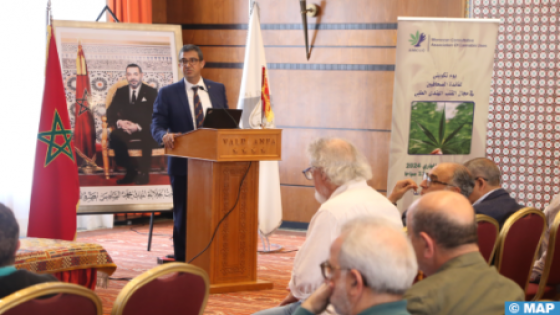 الدار البيضاء.. ندوة علمية تستكشف آفاق تطوير الأدوية المشتقة من القنب الهندي
