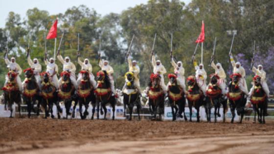 التبوريدة… صحيفة أرجنتينية تسلط الضوء على عراقة فن التبوريدة في المغرب
