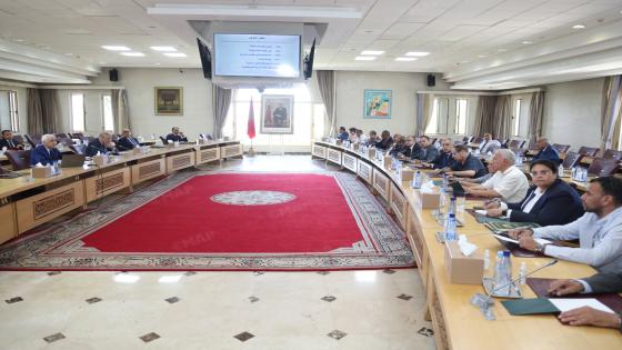 وزير الداخلية يعقد اجتماعين مع قادة ومسؤولي الأحزاب السياسية حول الاستعدادات لانتخاب أعضاء مجلس النواب ليوم 23 شتنبر 2026 (بلاغ)