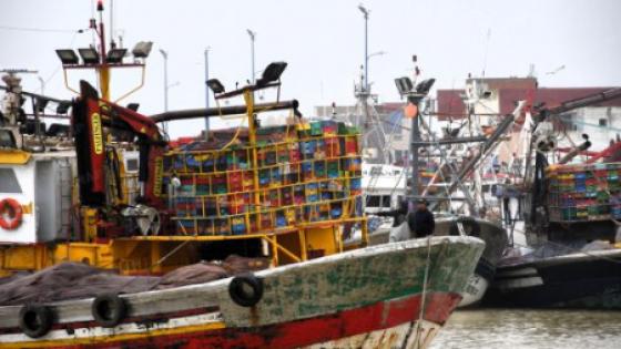 مراكب الصيد الساحلي بميناء العرائش تستأنف نشاطها بعد تحسن أحوال البحر