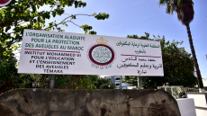 معاهد المنظمة العلوية لرعاية المكفوفين بالمغرب.. جهود حثيثة لتعزيز الحق في التعليم والإندماج الاجتماعي