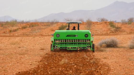 وجدة.. تعزيز تقنية “الزرع المباشر” لمواجهة التحديات المناخية