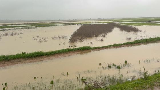 الفيضانات تخلف العديد من الخسائر في المحاصيل الفلاحية بشفشاون و وزان