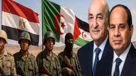 فشل الجزائر الذريع في جرّ مصر إلى فخ بوليساريو؟