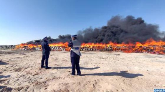 إتلاف أزيد من 20 طنا من مخدر الشيرا في ضواحي الداخلة