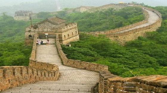 فيروس الصين العظيم / كوفيد 2019 /