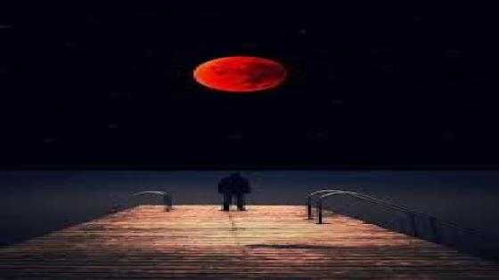**** رعشة الليل **** للشاعرسعيد هجري موسى